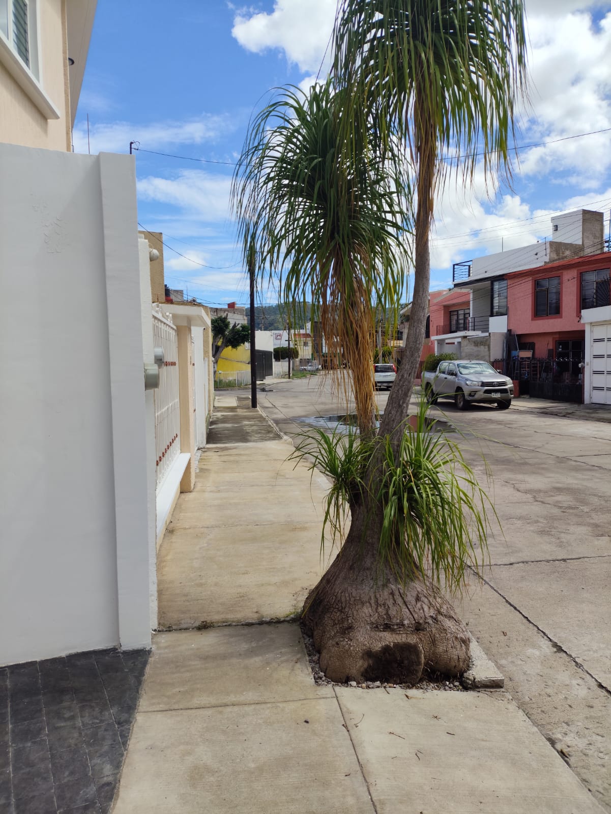 Colonia muy tranquila